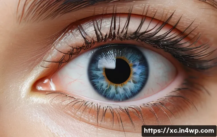 설치 예술 공간의 기능적 요구 사항 정의 관련 이미지 1